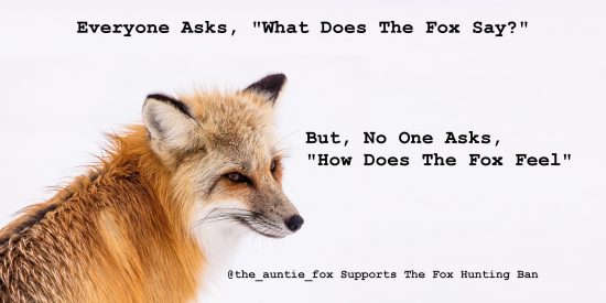 Tweet To Support The Fox Hunting Ban